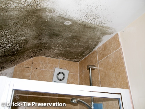 black mould on a shower ceiling why is my house mouldy?