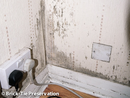 mould on decorations in Leeds - why is my house mouldy?