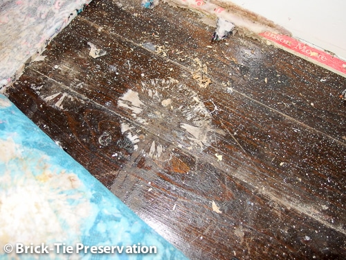 dry rot treatment in sheffield with mycelium