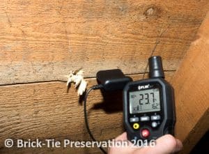 effective woodworm treatment in moist timber