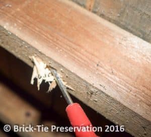 probing roof timbers before effective woodworm treatment