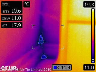 thermography and mould